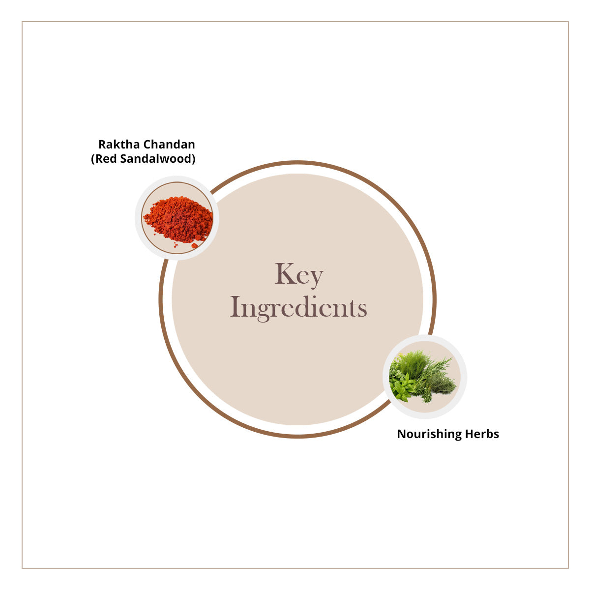 Raktha Chandanadi Ayurvedic Facepack (50g)