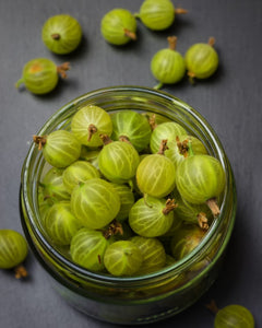 Amalaki (Indian Gooseberry)